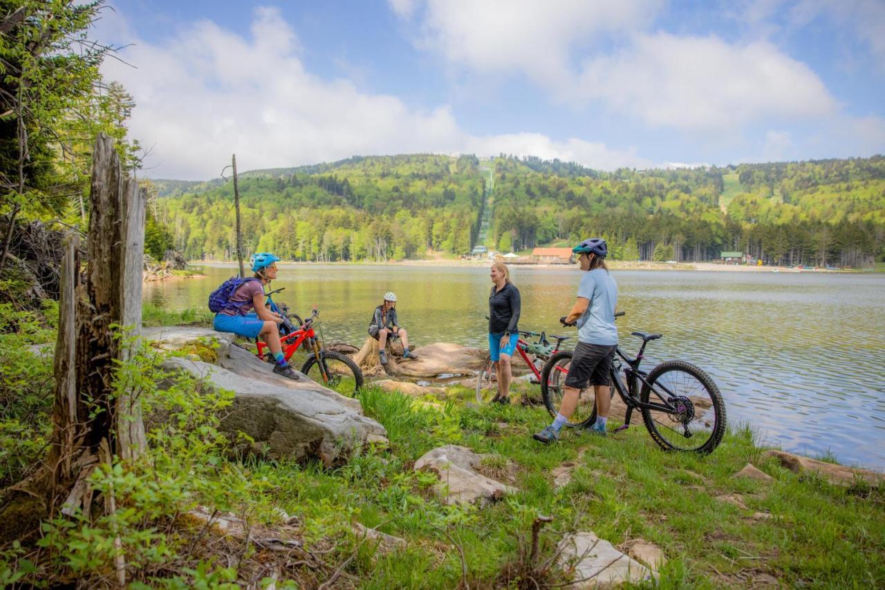 Allegheny Spring 239 King, Bed/Ski-In, Out/Pool & Hot Tub Snowshoe Ngoại thất bức ảnh